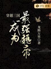 穿越三国成为最强魏帝!